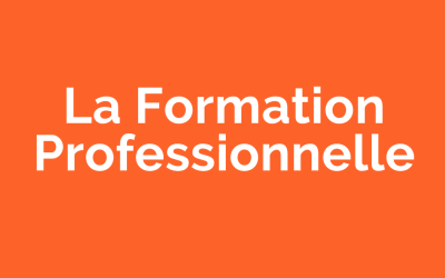 La formation Professionnelle (1)